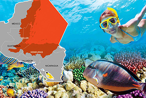 La Guía Definitiva para el Snorkel y el Buceo en el Gran Arrecife Maya