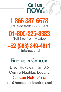 Contact information