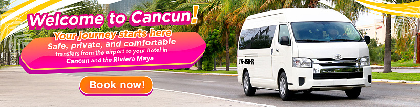 Private Airport Transportation