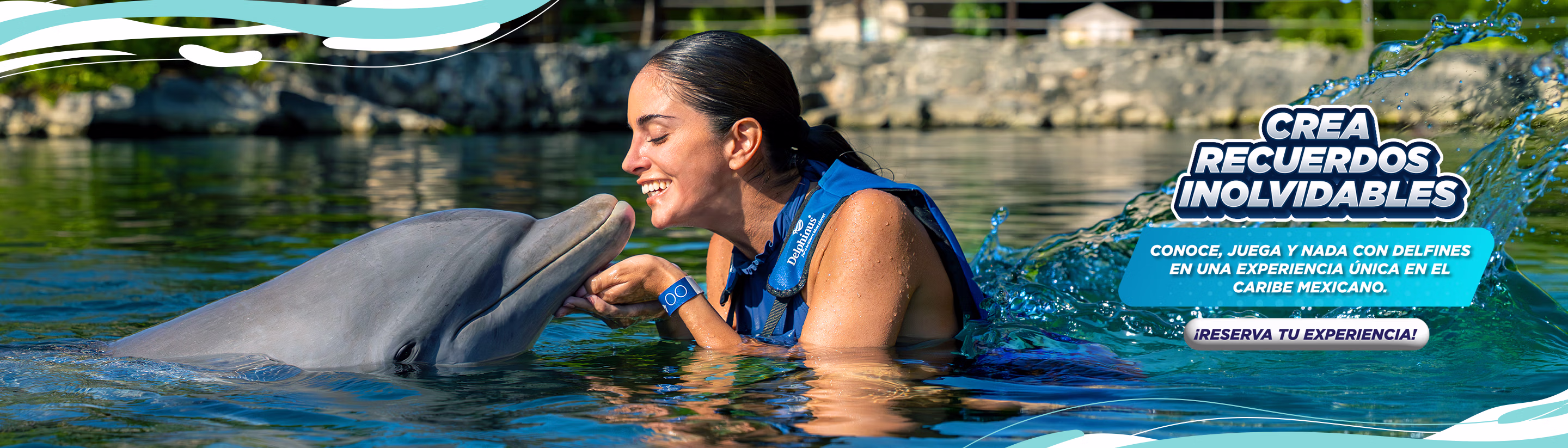 Nadar con Delfines