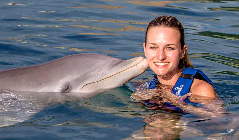 Supreme Interation with dolphins