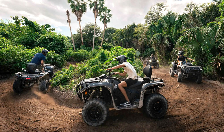 ATV on the jungle 
