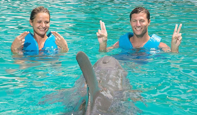 Playing with dolphins
