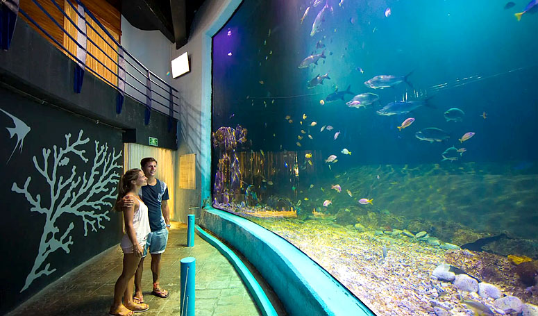 Enjoy an learn at the Aquarium of Cancun