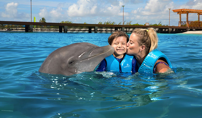 Dolphin kiss
