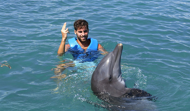 Dolphin dancing and singing