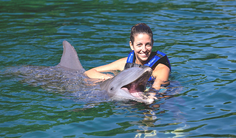 Interax Swim with dolphins