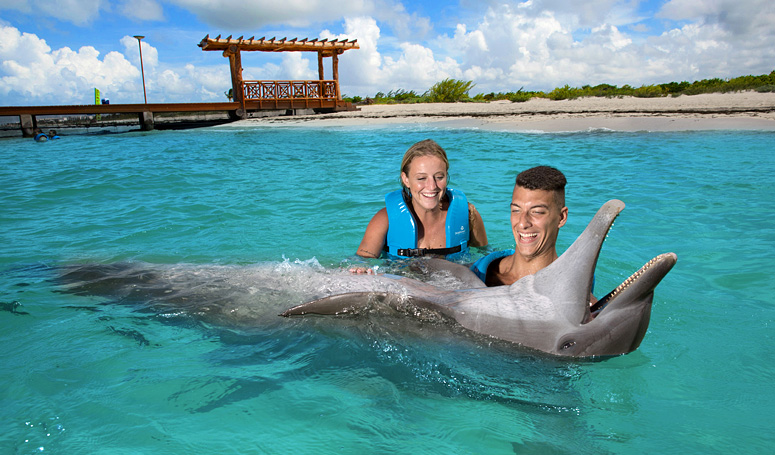 A lifetime experience holding a dolphin