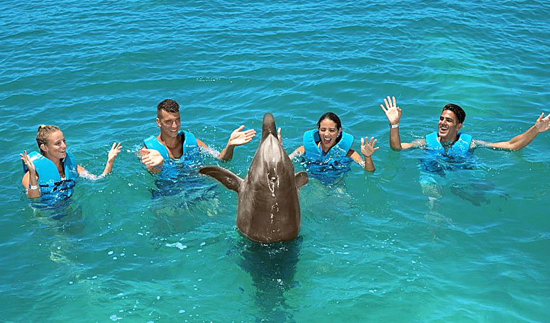 Singing with a dolphin