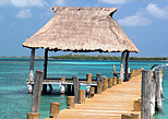Watch birds and beautiful species at the islands 