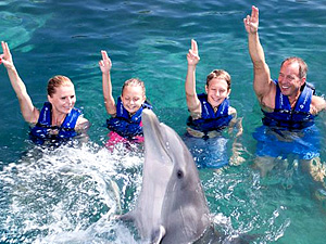 Supreme Swim with Dolphins