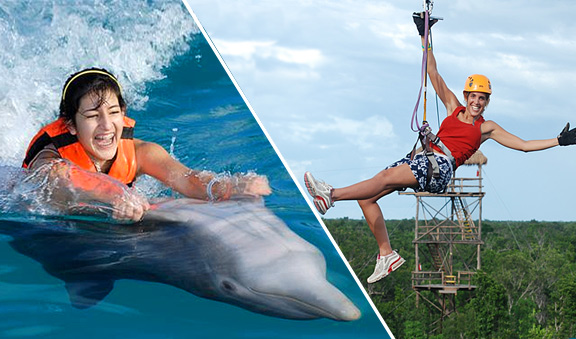 Combina 2 emocionantes aventuras, delfines y tirolesas
