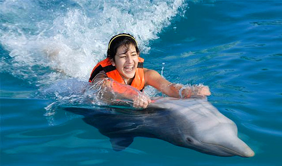 Monta un delfin