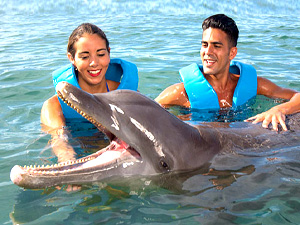 Couples Dreams Swim