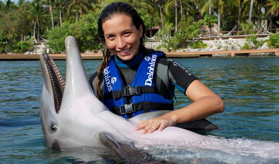 Dolphin swim