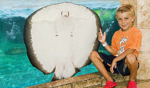 Interaction and learning at the aquarium