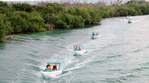 Mangroves and channels ride
