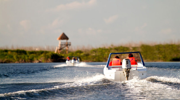 Jungle tour departing from Km 13.5