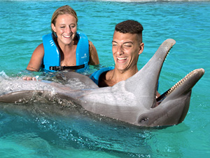 Primax Swim with Dolphins Tour