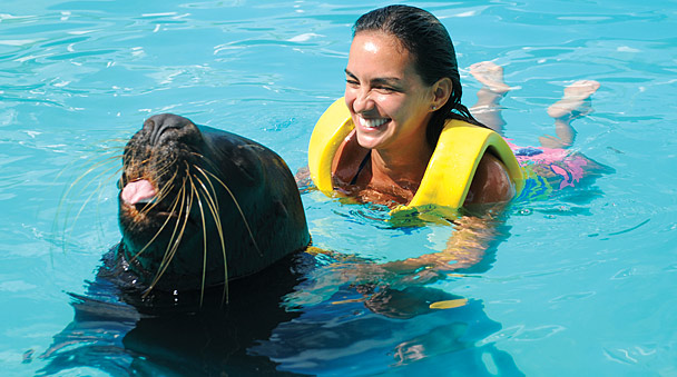 Sea Lyons Activity in Cancun
