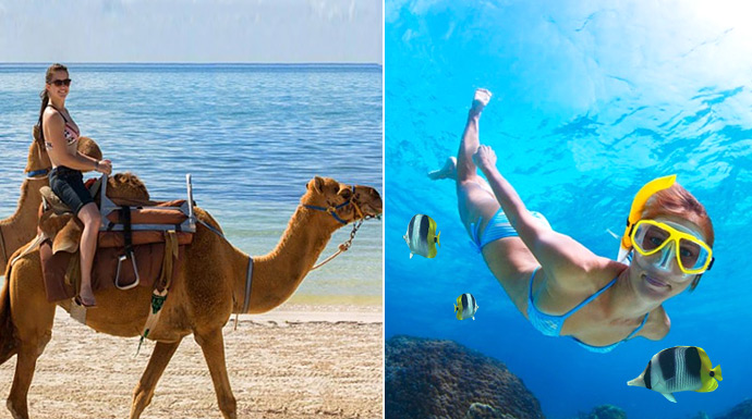 Snorkel reef adventure and Camel Ride in a combo tour