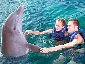 Couples Dreams Swim
