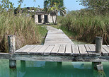 jump from the lagoon's deck
