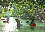 Swim and live the adventure