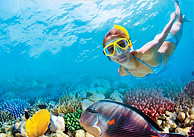 Reef Experience Tour