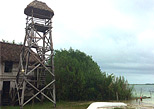 Muyi View from tower 