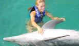 Swim with dolphins