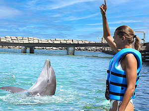 The One - Swim with Dolphins Tour