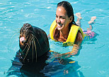 Sea Lyons Activity in Cancun