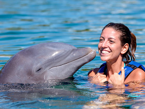 Dolphin Trainer for a Day Tour