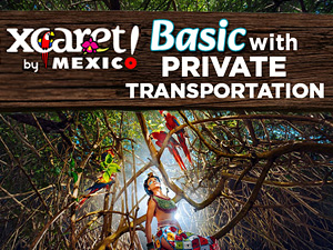 Xcaret Basic with Private Transportation Tour
